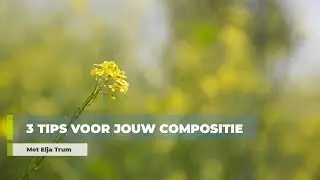 3 fotografietips voor een mooiere compositie