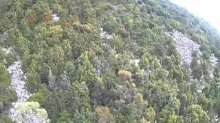 mt wellington organ pipes