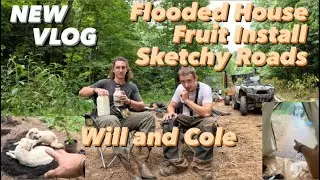 @willsurvives house has FLOODED + Food Forest Install