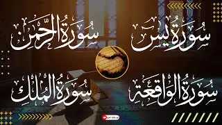 🔴LIVE | Surah Yasin | Surah Raman | Surah Waqiah | Surah Mulk | QAF Official | Episode 131