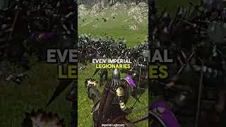 What`s the best Soldier in Mount and Blade 2 Bannerlord ?  | Check the related video ⬆️