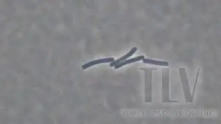 The growth of Clostridioides difficile　ー C.ディフィシルの増殖 ー