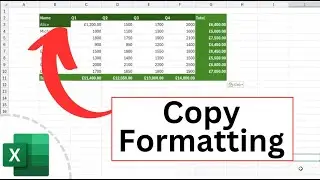 How to Copy Formatting in Excel (The Quickest Way)