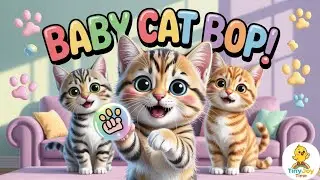 Toddler Song about Baby Cat | Baby Cat Bop (Kids Dance) | TinyJoy Time