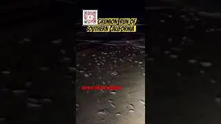 GRUNION RUN in Southern California #fishing #fishbait #surffishing #grunion