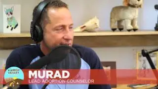 High Desert Pawedcast - Episode 11 - How to adopt a pet