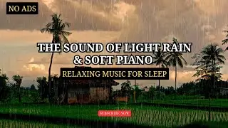 The sound of light rain & soft piano | Relaxing music rain & piano for sleep