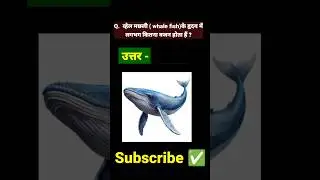 RRB Group D science। Whale fish heart weight।#shorts #shortsvideo #youtubeshorts #facts
