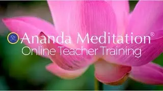Online Meditation Teacher Training
