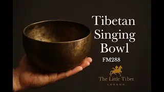 Full Moon Tibetan Singing Bowl | B Note Crown Chakra Sound Bowl-FM288
