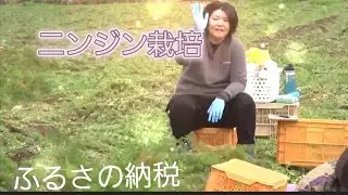 （ニンジ栽培）ふるさと納税#790