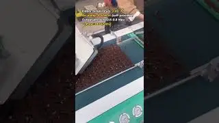 2BP-1200A Automatic Nursery seeding machine using manual video introduction #seedingline #seeder