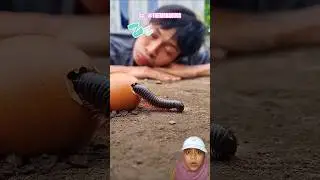 What animal is that ⁉️😱@TheMorabugs #shorts #funny #comedy #viral #youtubeshorts #trending #fyp