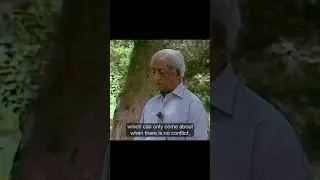 Only the confused mind choses | Krishnamurti #shorts