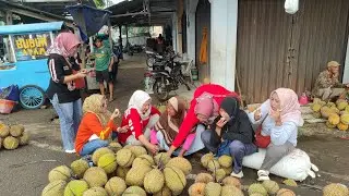 Durian Doro Stok Terbatas|| 10 Januari 2026 