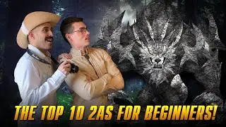 The Top 10 2As for Beginners!