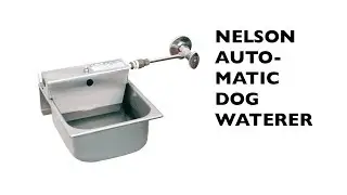 Nelson Automatic Dog Waterer