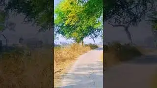 Nature&rsquo;s Soul: A Walk by the River 🌿🌊