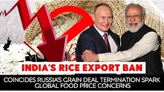 India's Rice Export Ban Coincides Russia's Grain Deal Termination Spark Global Food Price Concerns
