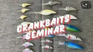 Crankbait fishing for bass: My favorite crankbaits for success