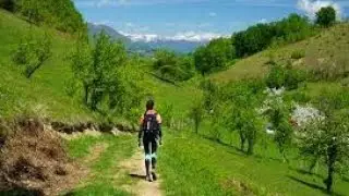 Pădurea de Liliac Ponoarele, Mehedinți