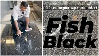 Fish Black!🦈 | വീട് പണിയുന്നവരുടെ ശ്രദ്ധയ്ക്ക് | Surabhi Innovation