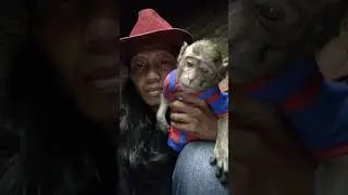 daily cute animal vidios monkey moly 🐒🤑#shorts #monkey #dailyvlog #funnyvidio #cutebaby #funnymonkey