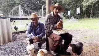 A felicidade de quem mora no meio do mato com a natureza, vivem do que produzem orgânico