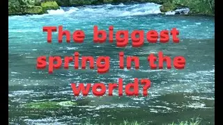 Fun float on the Current River and the biggest spring in Missouri!
