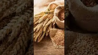 top 10 agriculture commodities in india #india #agriculture #commodities #top10 #top #world #shorts