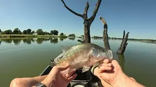 SUMMER FISHING AND FUN ON  LAKE BENBROOK