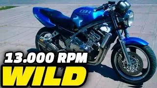 THE JAPANESE BEAST THAT DISAPPEARED!!🇯🇵