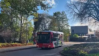 ↯ Mercedes-Benz Citaro O 530 LE Ü II | BOR-CO 811 | Boonk Reisen GmbH Omnibusbetrieb, Ahaus [🚍D76] ↯