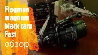 Катушка Flagman Magnum Black Carp 5000 - Честный обзор!