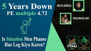 5 year lowest PE multiple 4.72. Is situation men investor ko kya karna chahie