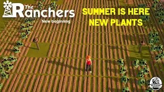 The Ranchers New Beginning | Bringing in Summer with a Massive Field