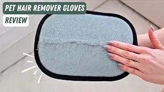 This Pet Hair Remover Glove Cleans My Car BETTER Than a Vacuum - Review