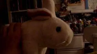 Dramatic Rabbit