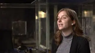What's Your Story? - Sarah Haines