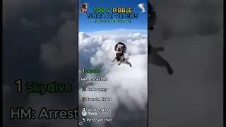 Ranking Funniest Pibble Sora AI Videos 🐶🌪