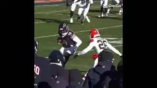 go bears