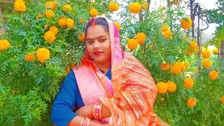 Sapna Pawai Live Holi Celebration | Awadhi Bhojpuri Masti Holi Special Live Streaming 2026 🎨 |