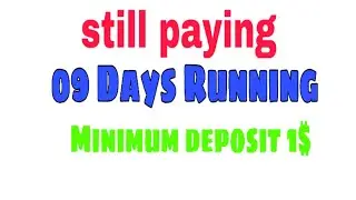 BRUNTLER.COM paying | 9 days running | MINIMUM DEPOSIT 1$ | hyip site hourly profit