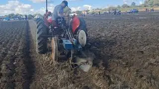 Massey Ferguson 35 2 furrow mounted plough West Hallam ploughing match 2025