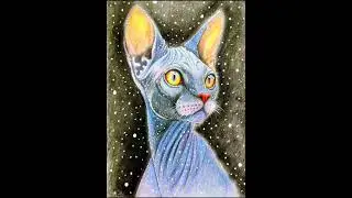 Sphynx cat. Colored pencils#graphics #lively #cat #cats #kids #graphics #art #winter #kitty #kitten