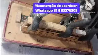 Manutenção de acordeon vitória de santo antão PE 