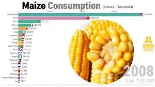 Top 20 Country by Maize Consumption (1990 - 2028) | 옥수수 소비 상위 국가