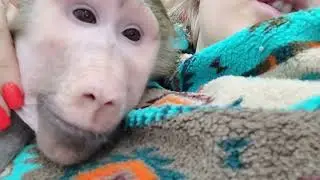 Можно вечно смотреть на Никушу и Луняшу😍