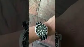 Seiko SBDY085 Mini / Baby Turtle JDM