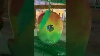 Malda  Aam Mela🥭#trending #minivlog #mangorecipe #mela